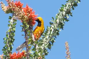 56550 Rancho Casitas Rd, Wickenburg, AZ 85390 - Photo 60