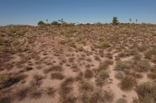 56550 Rancho Casitas Rd, Wickenburg, AZ 85390 - Photo 94