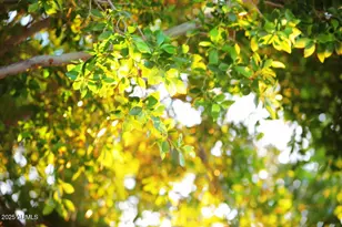 19016 N 52nd Ln, Glendale, AZ 85308 - Photo 16