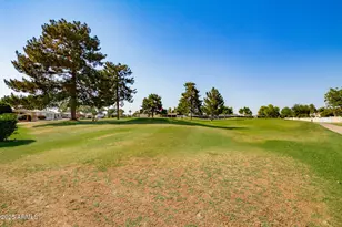 9507 E Sherwood Way, Sun Lakes, AZ 85248 - Photo 40