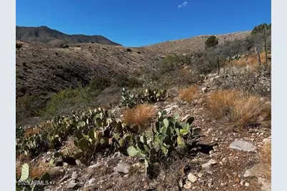 10Xx E Horseshoe Springs Road #2, Globe, AZ 85501 - Photo 6