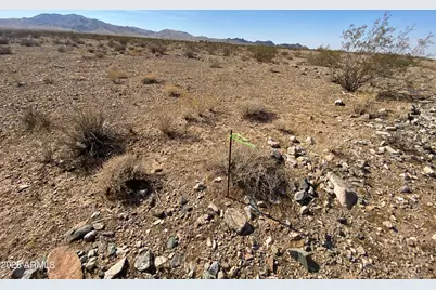 Xxxxx N Phillip (Lot 353) Road #353, Dolan Springs, AZ 86441 - Photo 18