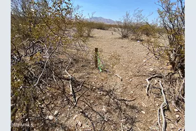 Xxxxx N Phillip (Lot 354) Road #354, Dolan Springs, AZ 86441 - Photo 8