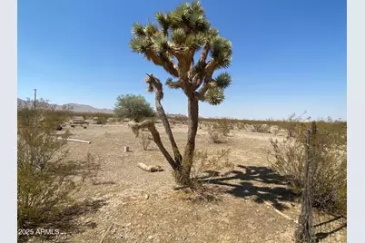 Xxxxx N Phillip (Lot 354) Road #354, Dolan Springs, AZ 86441 - Photo 20