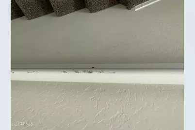 35262 W San Ildefanso Avenue, Maricopa, AZ 85138 - Photo 138