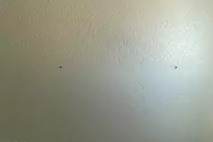 35262 W San Ildefanso Ave, Maricopa, AZ 85138 - Photo 136