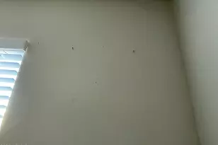 35262 W San Ildefanso Ave, Maricopa, AZ 85138 - Photo 142