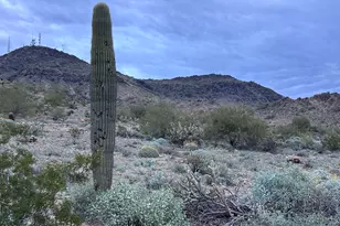 939 W Mercer Ln, Phoenix, AZ 85029 - Photo 8