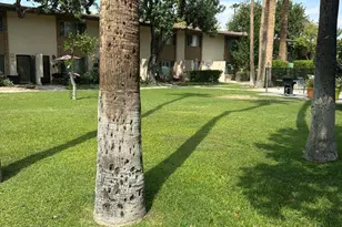 4701 N 68th St, Scottsdale, AZ 85251 - Photo 2