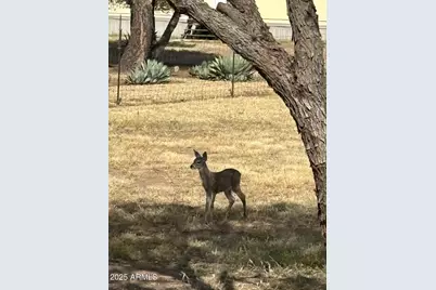 30 Sunset Lane, Elgin, AZ 85611 - Photo 36