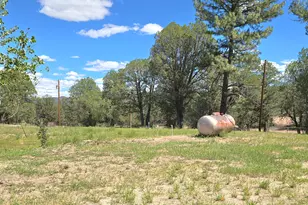 45985 N Az Hwy 288 --, Young, AZ 85554 - Photo 78