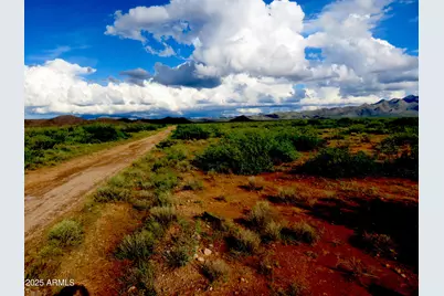 Tbd W Austin Henely Road #9, Elfrida, AZ 85610 - Photo 4
