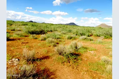 Tbd W Austin Henely Road #9, Elfrida, AZ 85610 - Photo 8