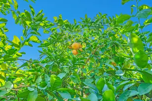 9364 W Cashman Dr, Peoria, AZ 85383 - Photo 44