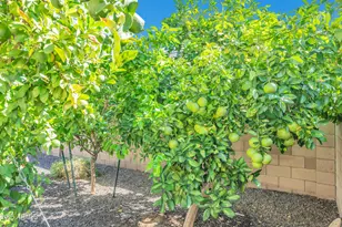 9364 W Cashman Dr, Peoria, AZ 85383 - Photo 44