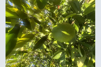 14482 W Buffalo Trail, Surprise, AZ 85374 - Photo 26