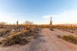 31409 N 166th Pl, Scottsdale, AZ 85262 - Photo 52