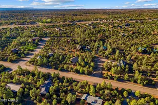 2758 Jaguar Cir, Overgaard, AZ 85933 - Photo 42