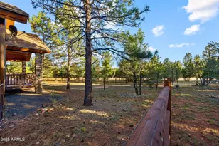 2758 Jaguar Cir, Overgaard, AZ 85933 - Photo 34
