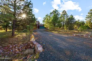 2758 Jaguar Cir, Overgaard, AZ 85933 - Photo 38