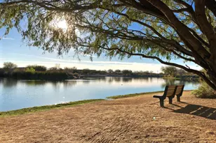 4390 S White Dr, Chandler, AZ 85249 - Photo 66