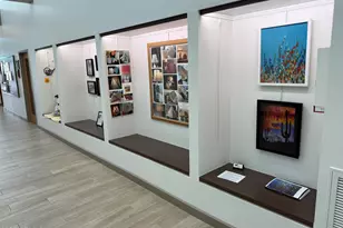 18738 E Buckskin Dr, Rio Verde, AZ 85263 - Photo 68