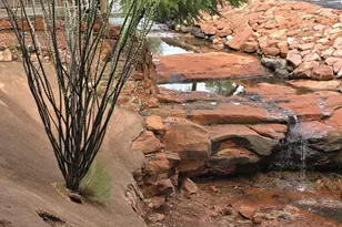 95 E Cortez Dr, Sedona, AZ 86351 - Photo 14