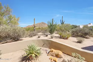 10801 E Happy Valley Rd, Scottsdale, AZ 85255 - Photo 6