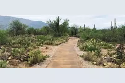 29577 N 113th Lane, Peoria, AZ 85383 - Photo 16