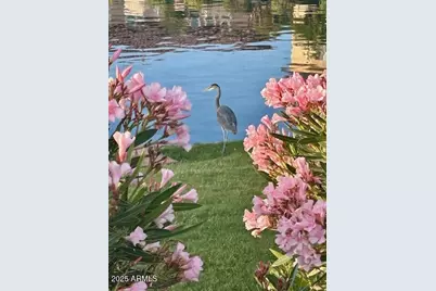 16343 S 178th Drive, Goodyear, AZ 85338 - Photo 94