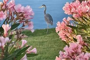 16343 S 178th Dr, Goodyear, AZ 85338 - Photo 94