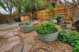 1113 W Glenrosa Ave, Phoenix, AZ 85013 - Photo 20