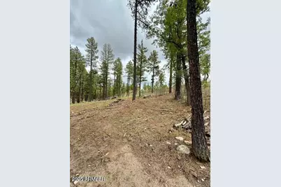 7 Eric Lane #28, Alpine, AZ 85920 - Photo 6