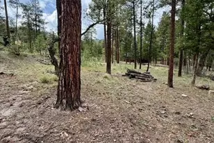 7 Eric Ln, Alpine, AZ 85920 - Photo 1