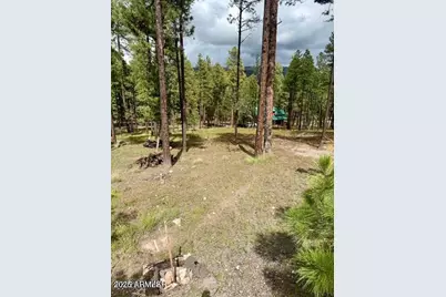 7 Eric Lane #28, Alpine, AZ 85920 - Photo 2