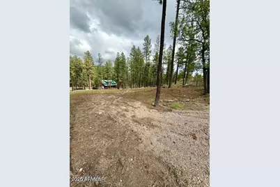 7 Eric Lane #28, Alpine, AZ 85920 - Photo 4