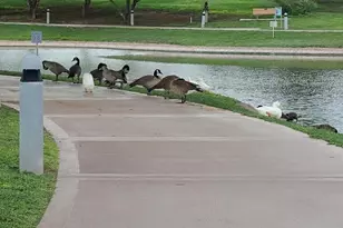 17132 E Hillcrest Dr, Fountain Hills, AZ 85268 - Photo 22