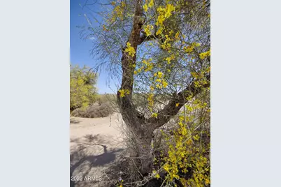 30825 N 155th Drive #3, Surprise, AZ 85374 - Photo 4