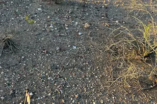 455 Weitzman Dr Circle, Morristown, AZ 85342 - Photo 1