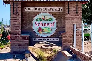 22433 E Cattle Dr, Queen Creek, AZ 85142 - Photo 60