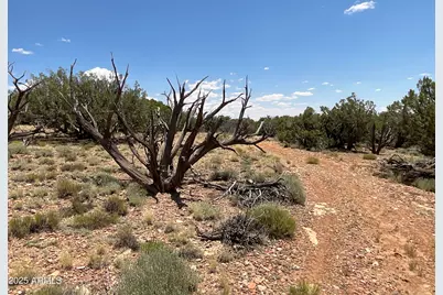 61 County Road N6379 --, Saint Johns, AZ 85936 - Photo 30