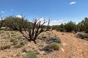 61 County Rd N6379, Saint Johns, AZ 85936 - Photo 30