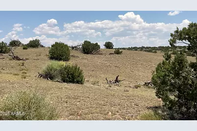 61 County Road N6379 --, Saint Johns, AZ 85936 - Photo 26