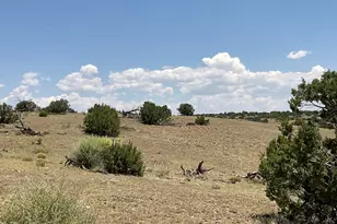 61 County Rd N6379, Saint Johns, AZ 85936 - Photo 26