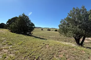 269 S Zachariae Ranch Rd, Young, AZ 85554 - Photo 22