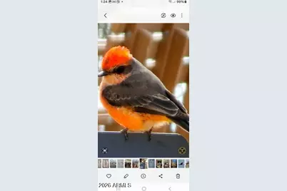 790 W Cherrywood Drive, Chandler, AZ 85248 - Photo 56