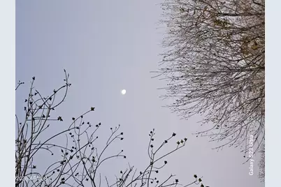 790 W Cherrywood Drive, Chandler, AZ 85248 - Photo 88