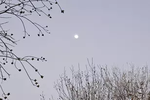 790 W Cherrywood Dr, Chandler, AZ 85248 - Photo 92