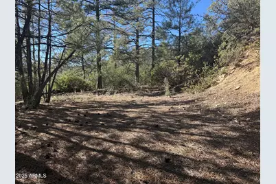 6536 E 90 and 9 Road #-, Crown King, AZ 86343 - Photo 6