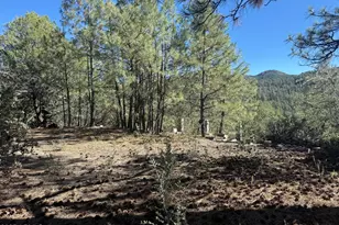 6536 E 90 and 9 Rd, Crown King, AZ 86343 - Photo 1